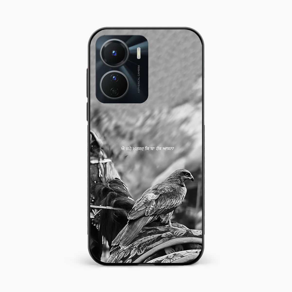 Punjabi Warrior Baaz Vivo Y16 Cover