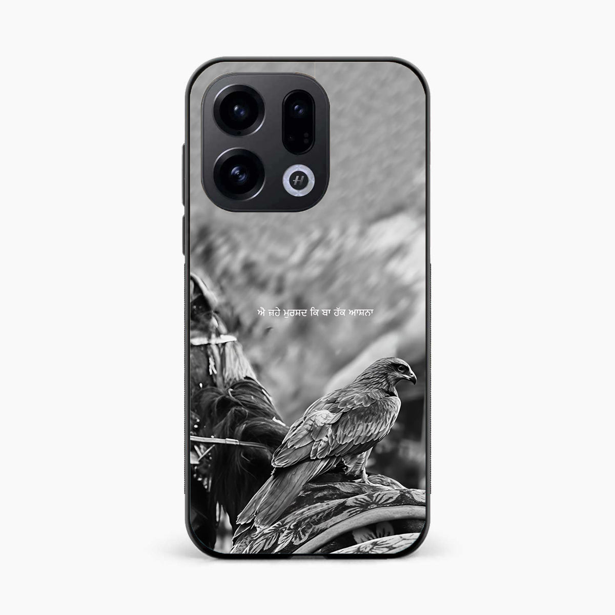 Punjabi Warrior Baaz Oppo Find X9 5G Cover