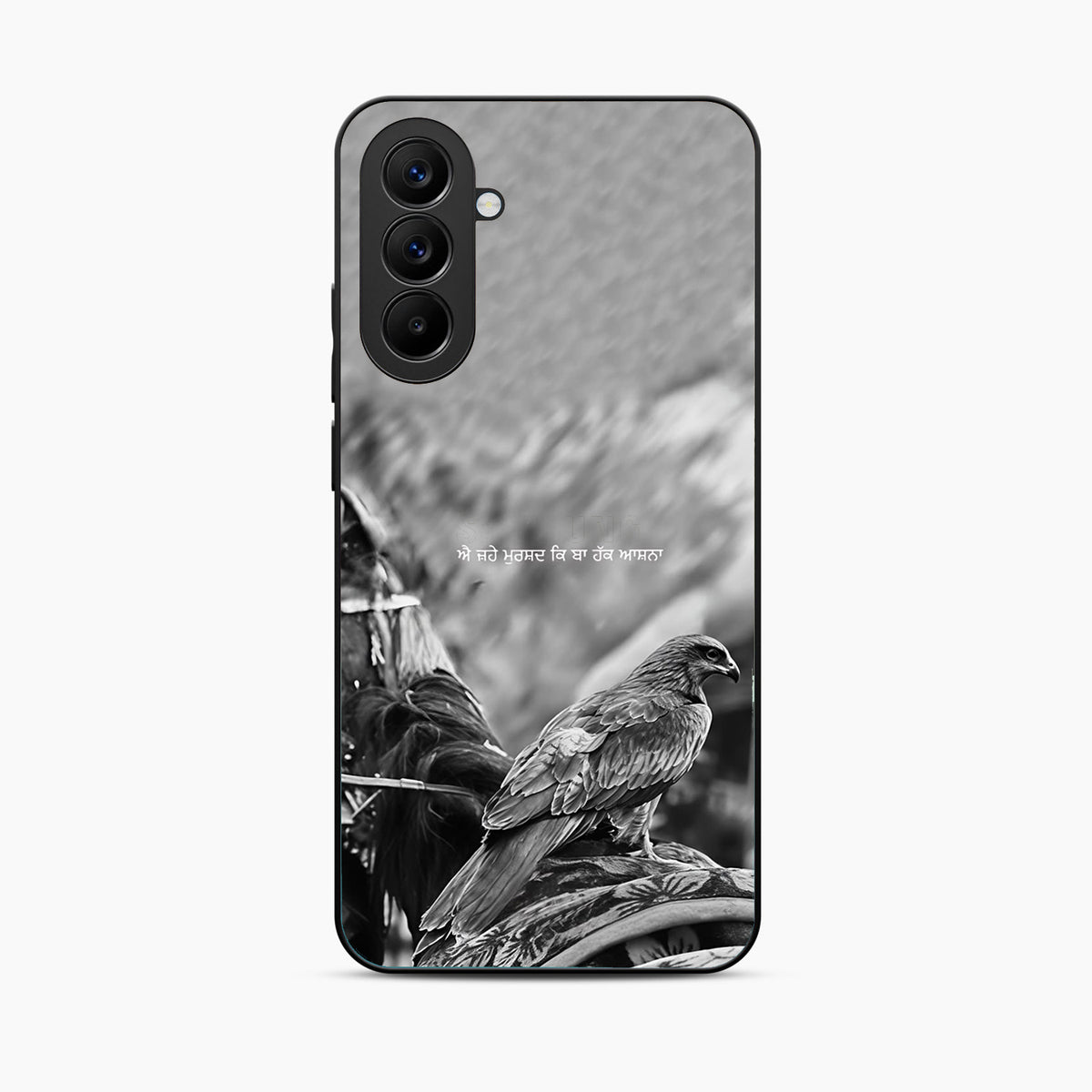 Punjabi Warrior Baaz Samsung M56 Back Covers