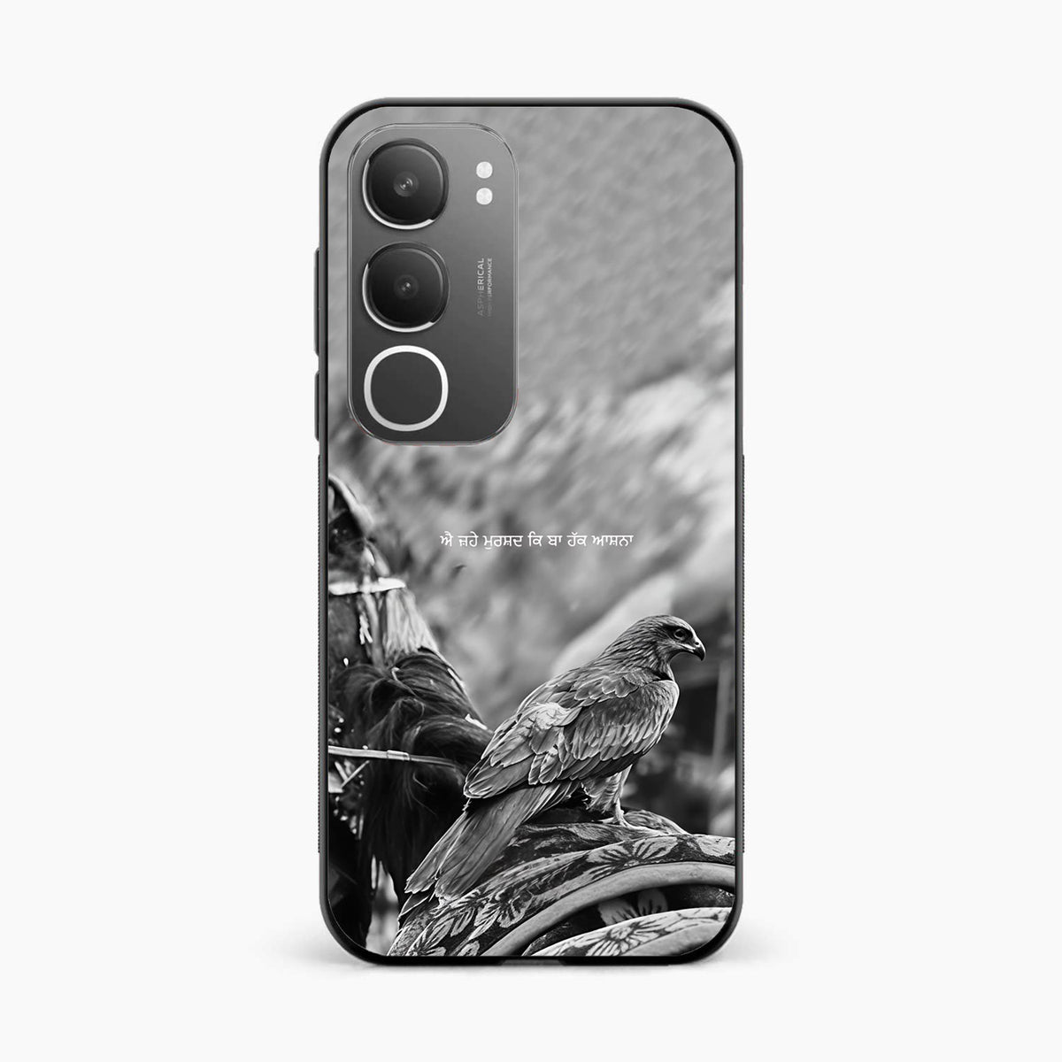 Punjabi Warrior Baaz Vivo Y29 5G Cover