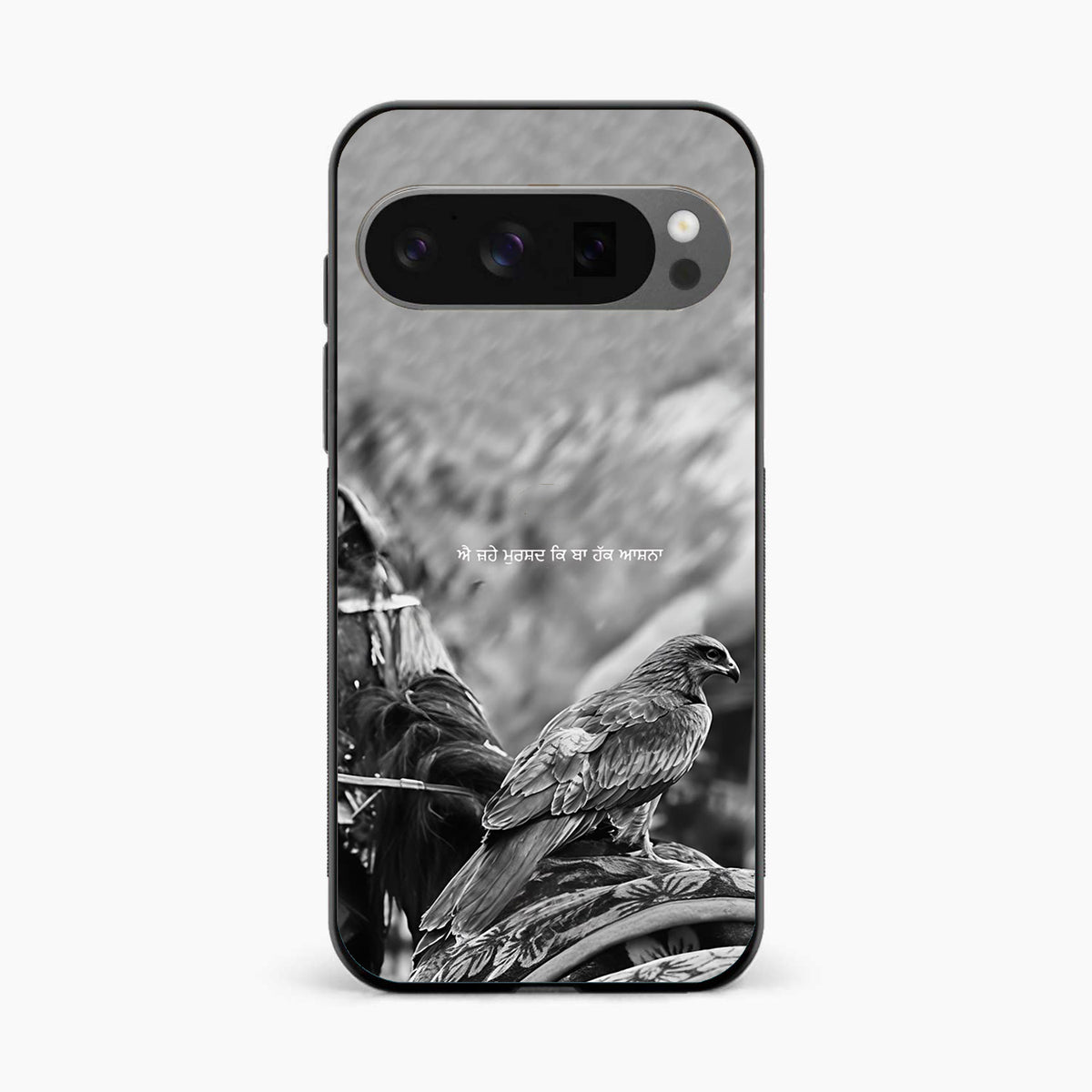 Punjabi Warrior Baaz Google Pixel 10 Pro Cover