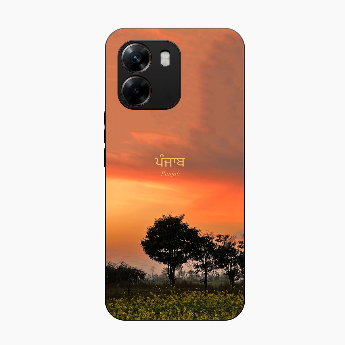 Punjab Nature Sunset Oppo A6x 5g Back Covers