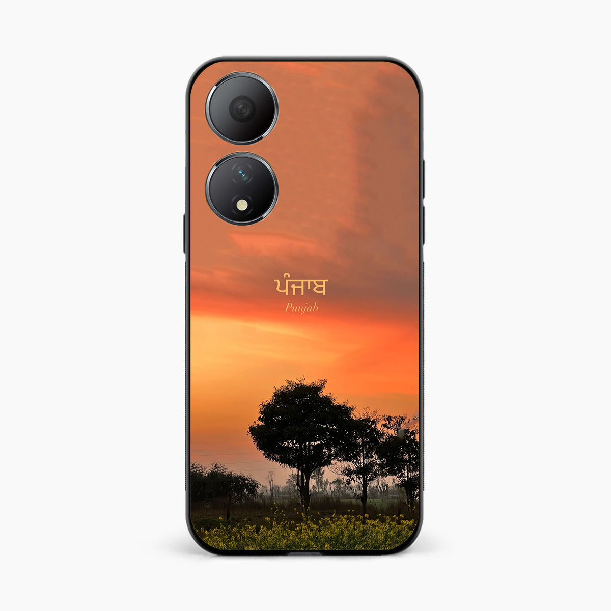 Punjab Nature Sunset Oppo A78 5g Back Covers