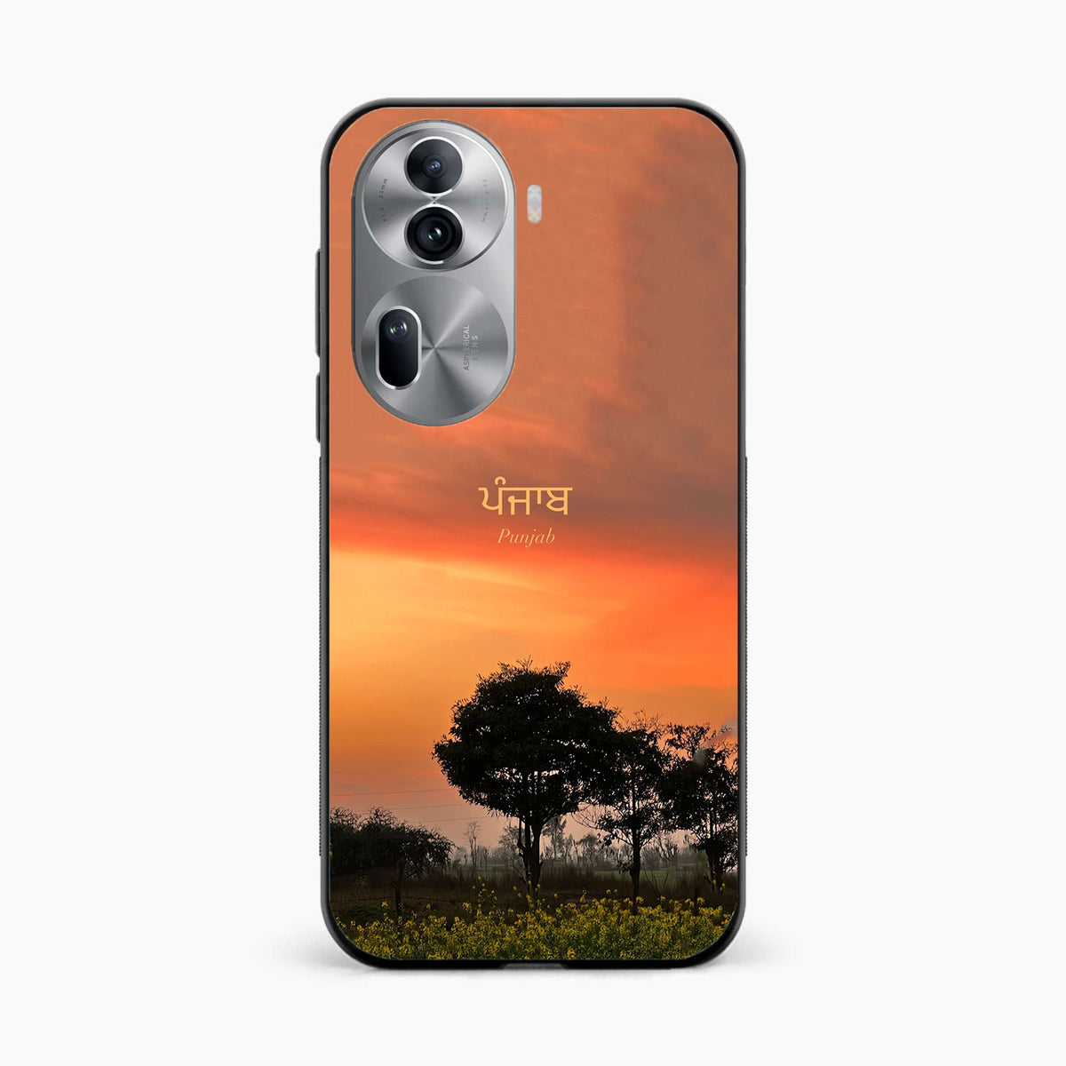 Punjab Nature Sunset Oppo Reno 11 Pro Back Cover