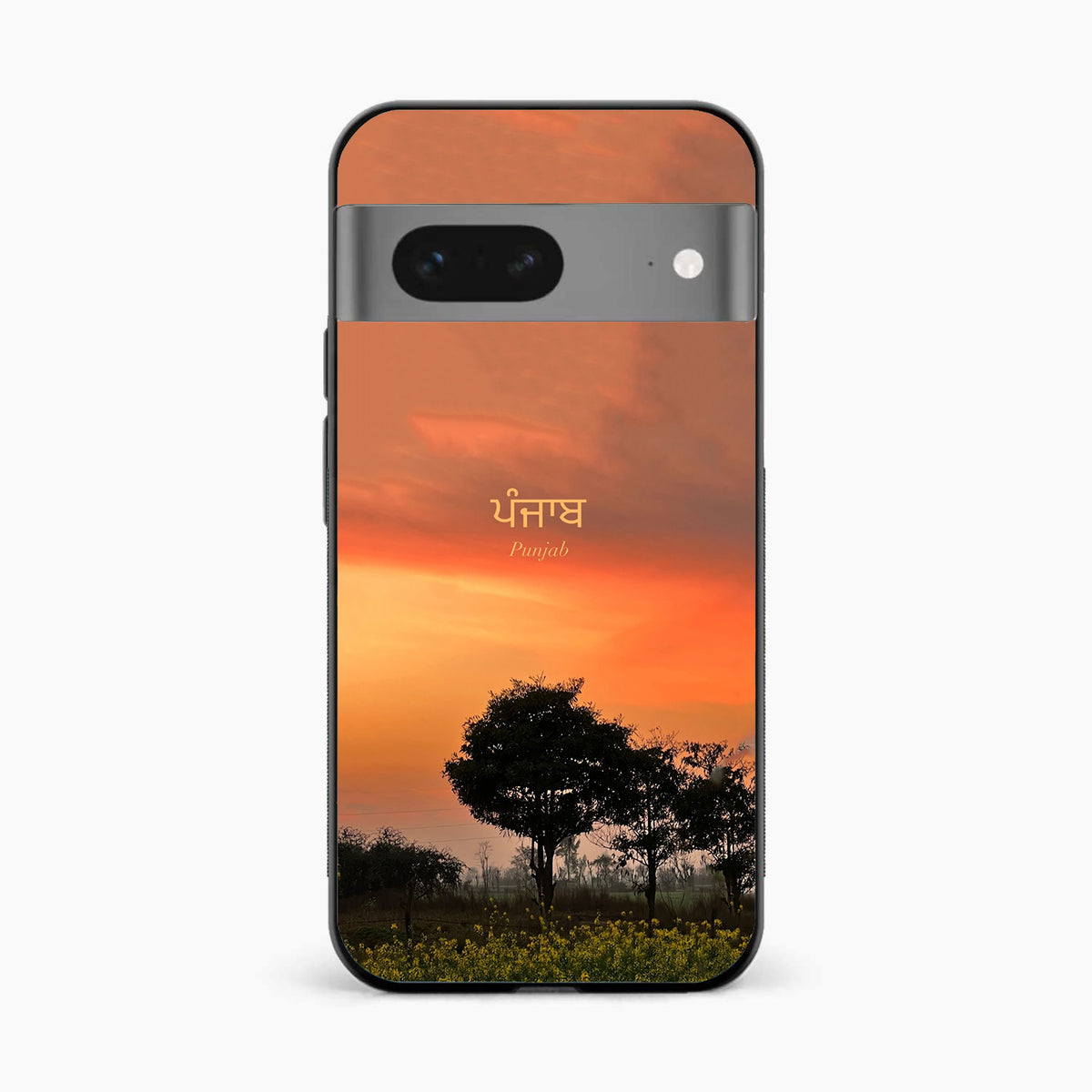 Punjab Nature Sunset Google Pixel 8 Back Cover