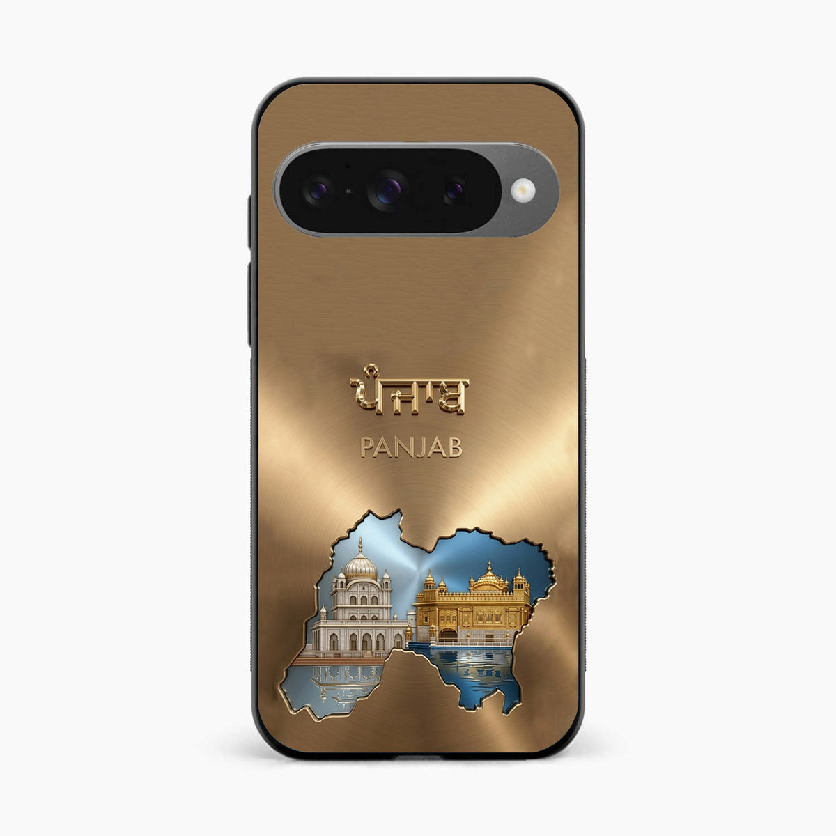 Golden Temple & Akal Takht Punjab Google Pixel 10 Back Cover