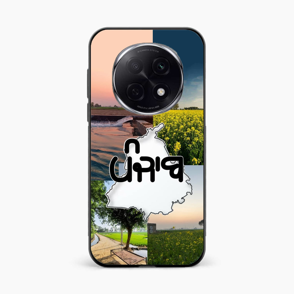 Punjab Soul Aesthetic Oppo F29 Pro 5G Back Cover