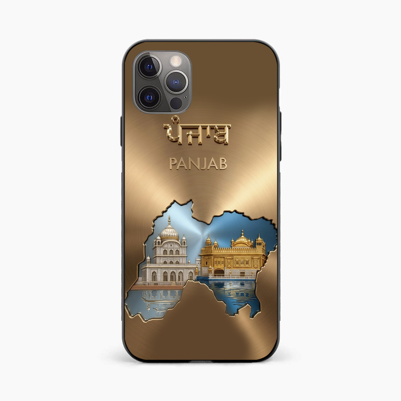 Golden Temple & Akal Takht Punjab iPhone 12 Pro Max Back Cover
