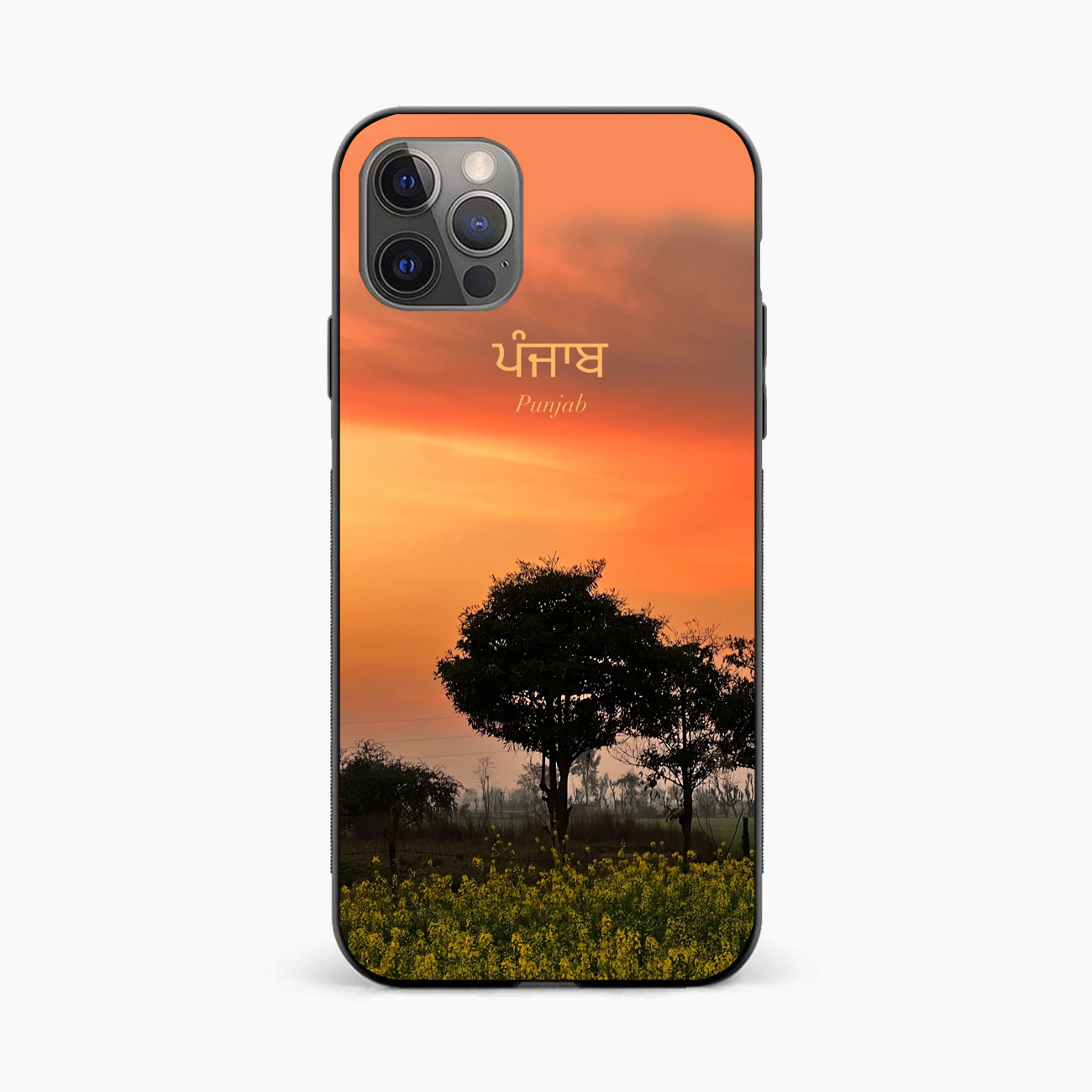 Punjab Nature Sunset iPhone 12 Pro Max Back Cover
