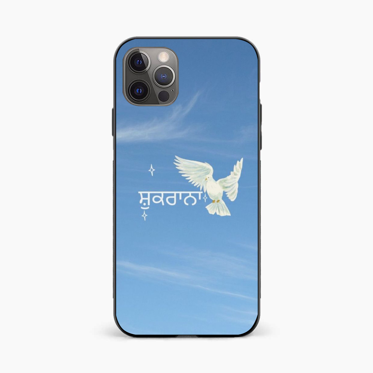 Shukrana Spiritual Aesthetic iPhone 12 Pro Max Back Cover