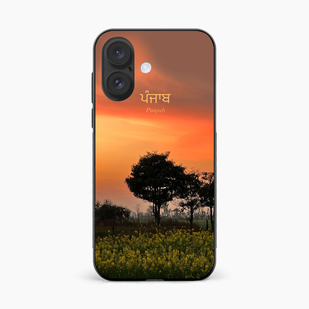 Punjab Nature Sunset iPhone 16 Plus Back Cover