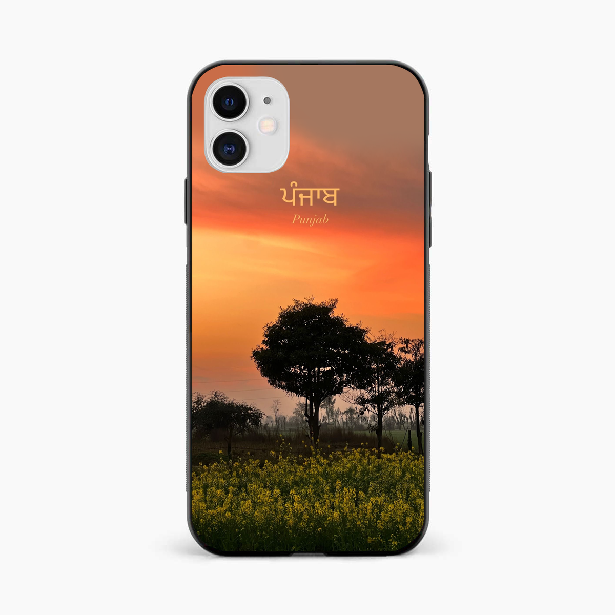 Punjab Nature Sunset iPhone 12 Back Cover