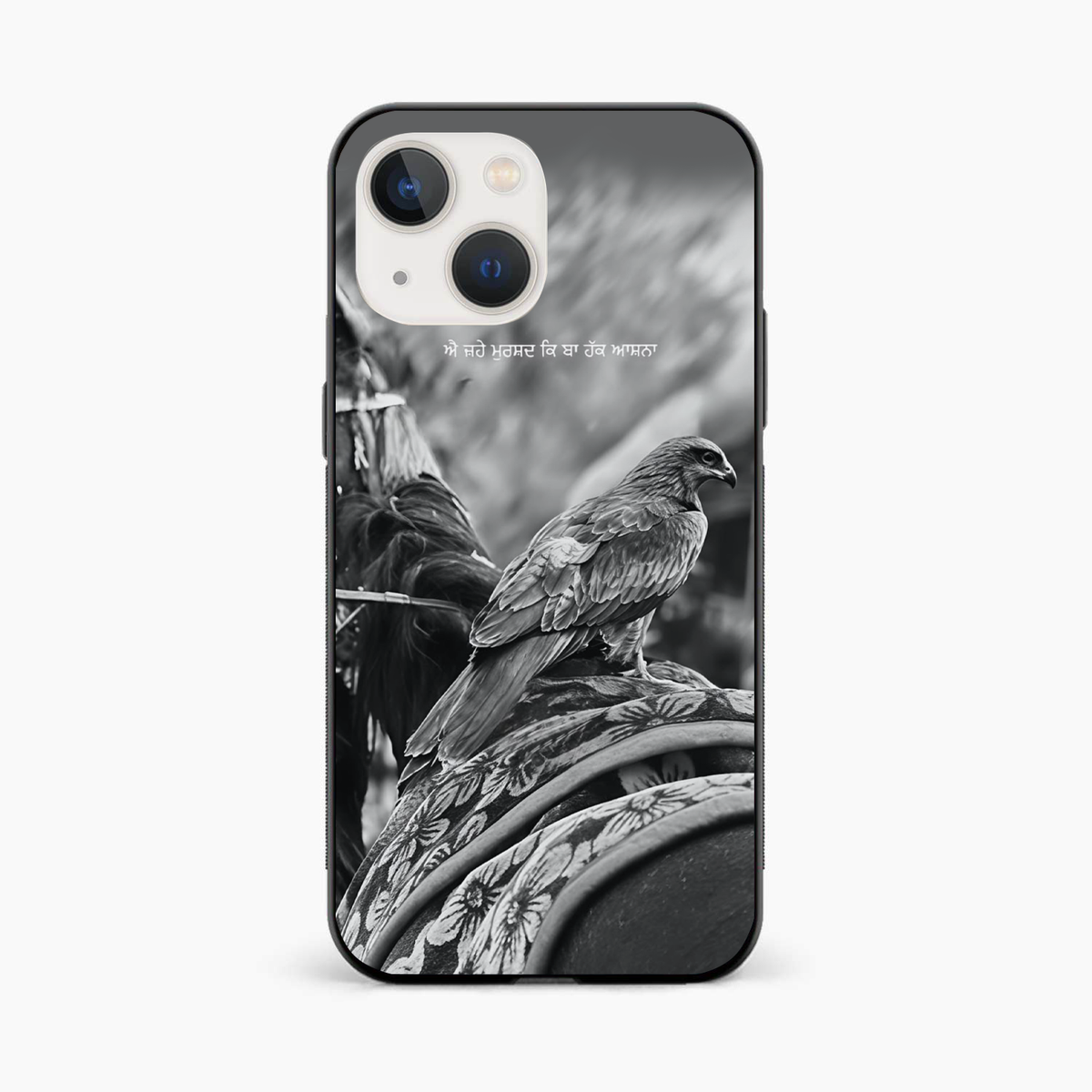 Punjabi Warrior Baaz iPhone 13 Mini Back Cover