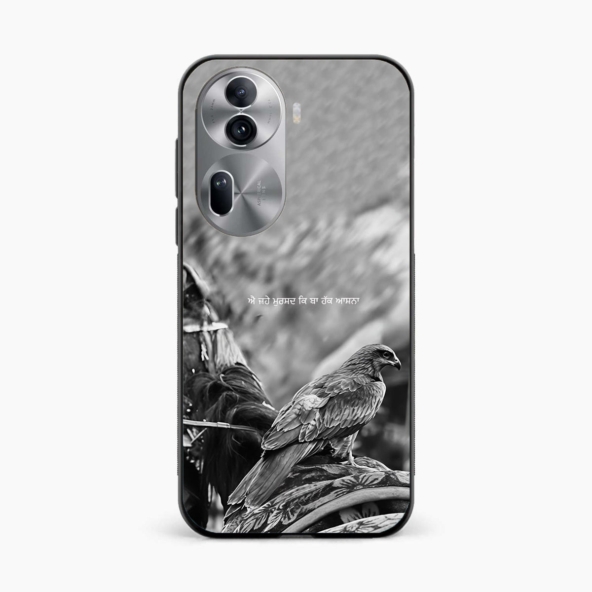 Punjabi Warrior Baaz Oppo Reno 11 Pro Cover