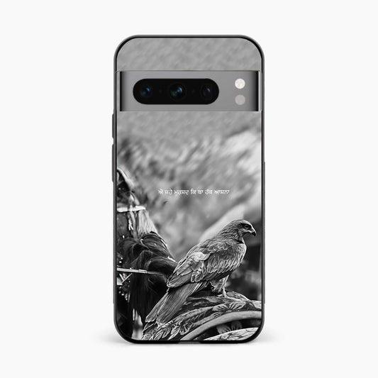 Punjabi Warrior Baaz Google Pixel 8 Pro Cover