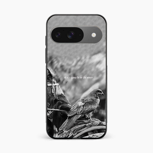 Punjabi Warrior Baaz Google Pixel 9 Cover