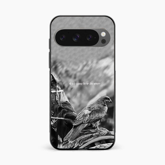 Punjabi Warrior Baaz Google Pixel 10 Pro XL Cover