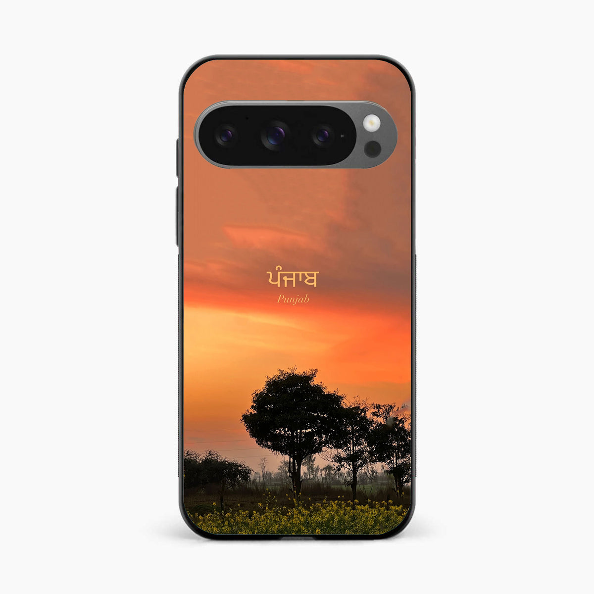 Punjab Nature Sunset Google Pixel 9 Pro XL Back Cover