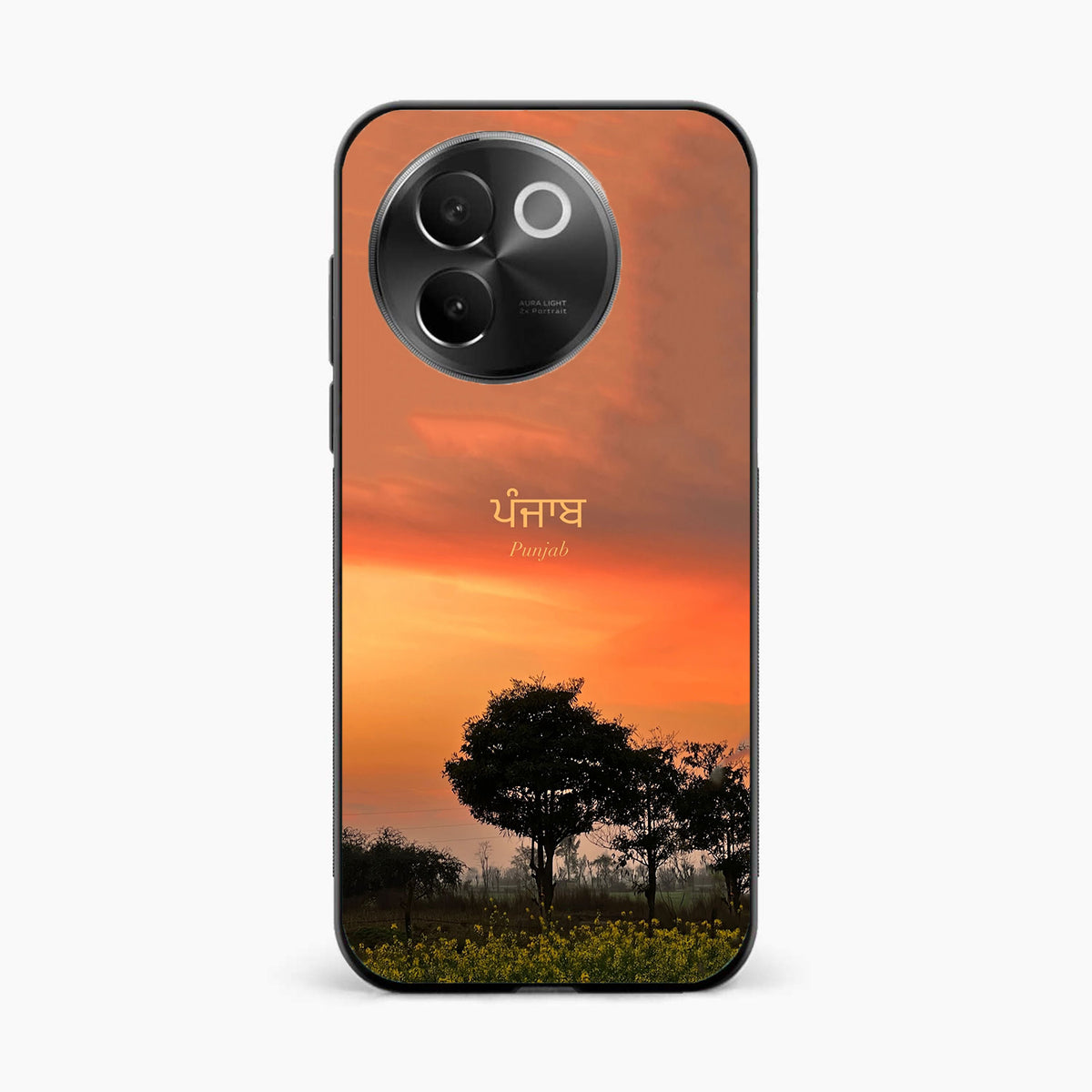 Punjab Nature Sunset Vivo V30e 5G Back Cover