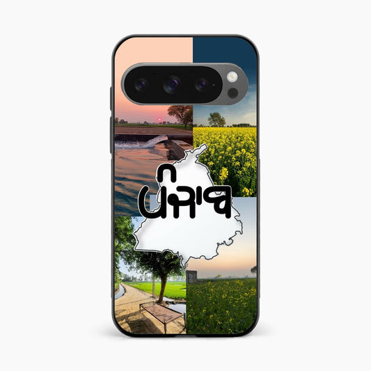 Punjab Soul Aesthetic Google Pixel 9 Pro XL Back Cover
