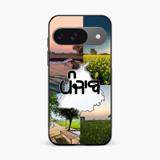Punjab Soul Aesthetic Google Pixel 9 Back Cover