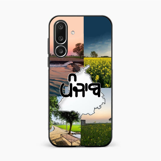 Punjab Soul Aesthetic Samsung F56 Back Cover