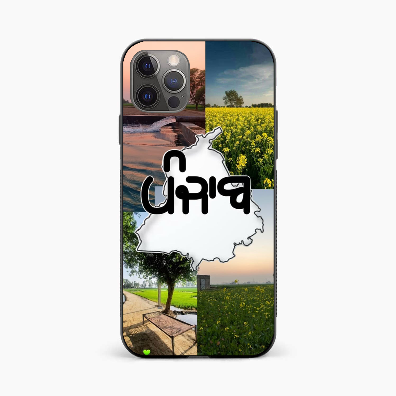 Punjab Soul Aesthetic iPhone 12 Pro Back Cover