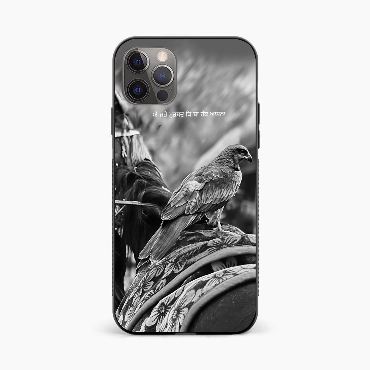 Punjabi Warrior Baaz iPhone 12 Pro Max Back Cover